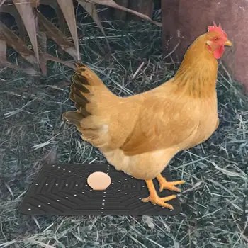 Мека Подложка за пилета втора употреба Почистваща Силиконови Облицовки за Пилешки Гнезда за S Мека Постеля, за да Снася Яйца Здрав 12 X 12 См